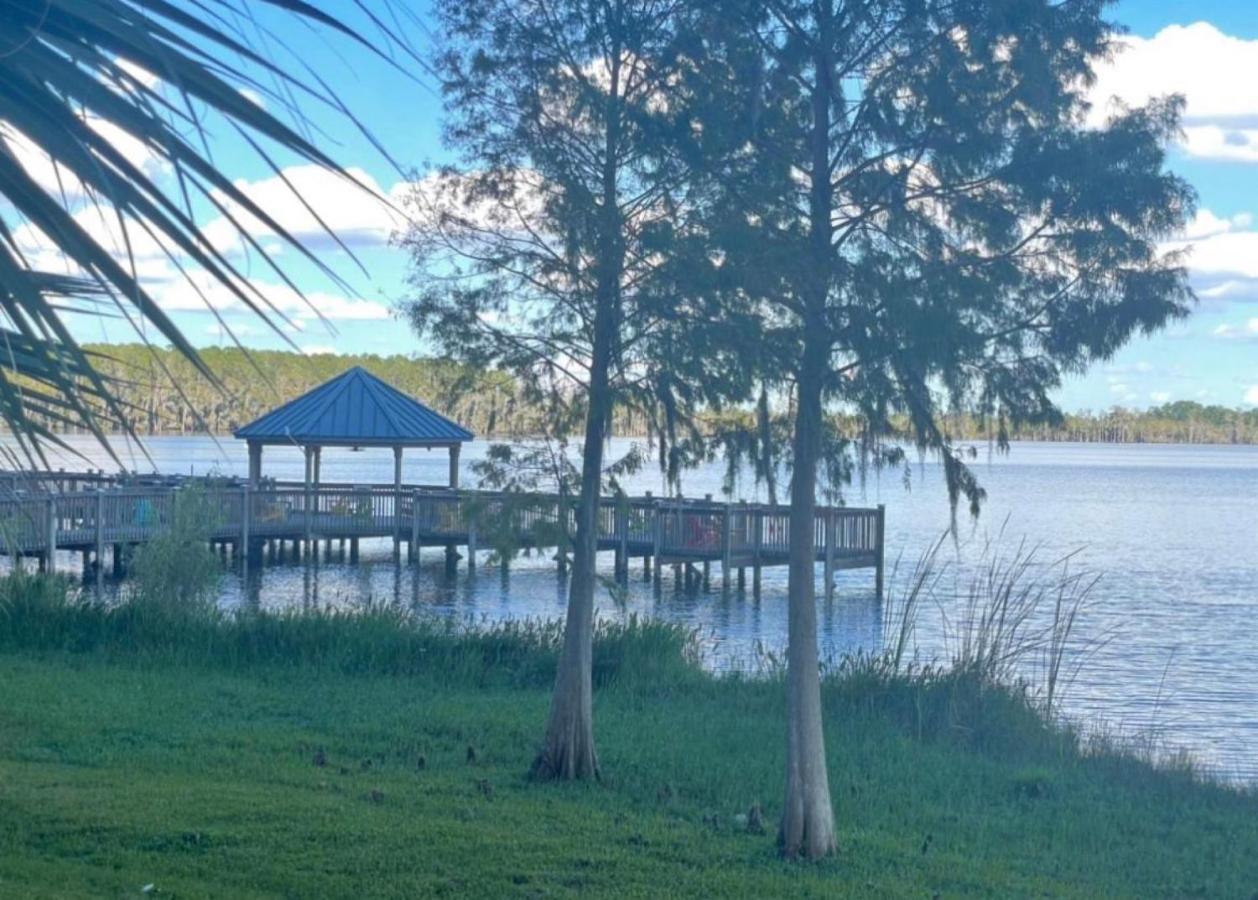 Disney Just 1 And A Quarter Mile Away, Blue Heron 1 Room 2 Bath,Amenities,6 Guests, Walk To Restaurants, No Fees At Check In 奥兰多 外观 照片